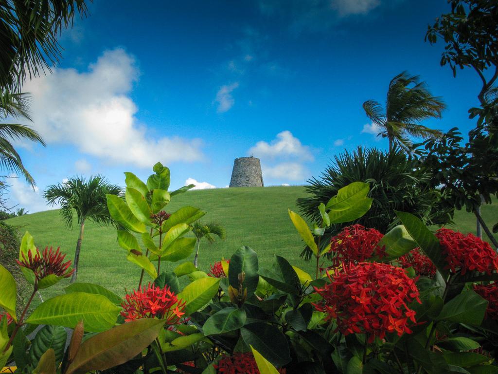 Tamarind Reef Resort Spa & Marina Christiansted Buitenkant foto