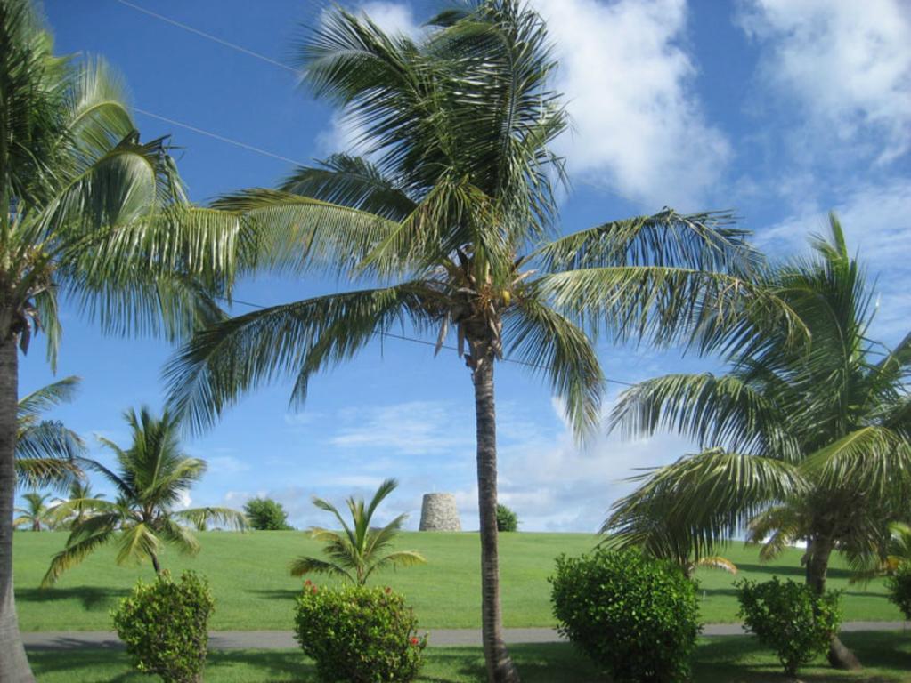 Tamarind Reef Resort Spa & Marina Christiansted Buitenkant foto