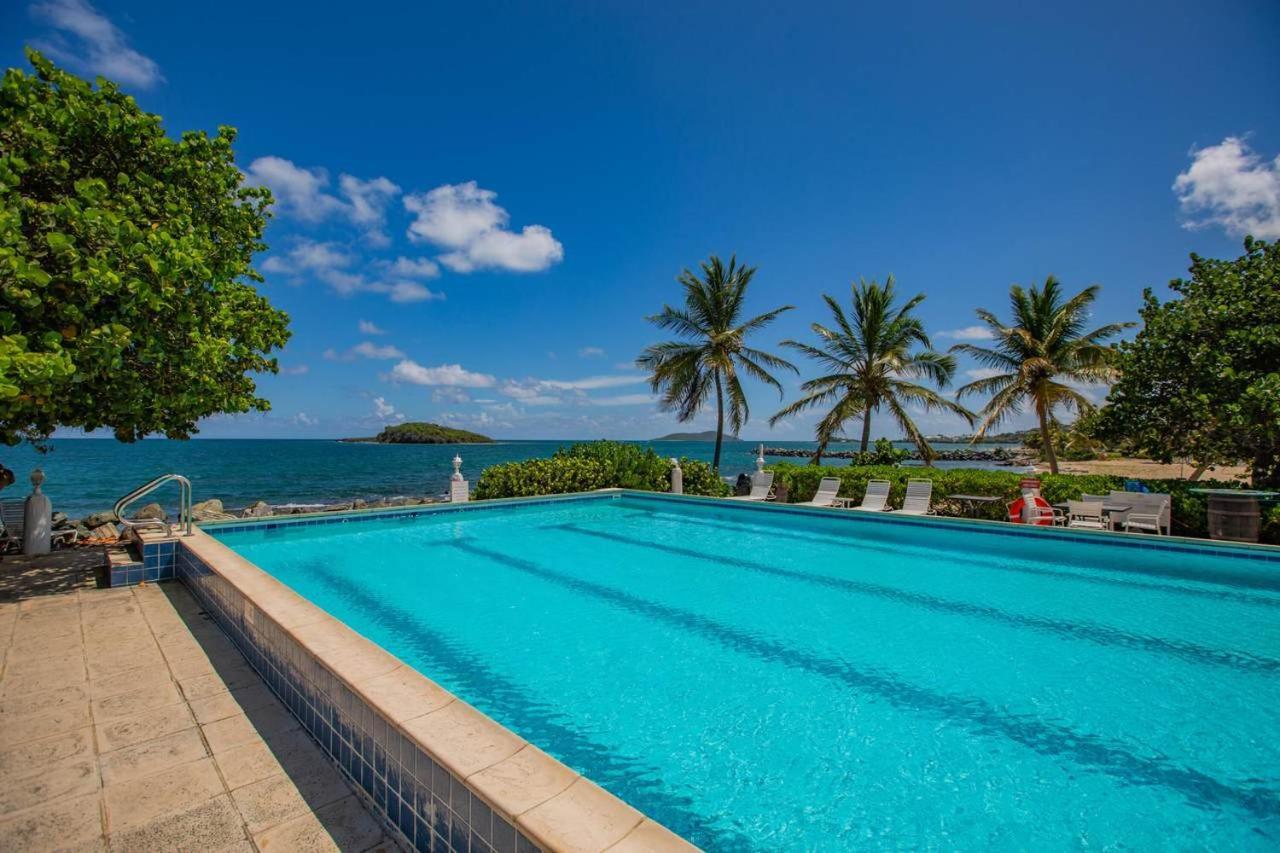 Tamarind Reef Resort Spa & Marina Christiansted Buitenkant foto