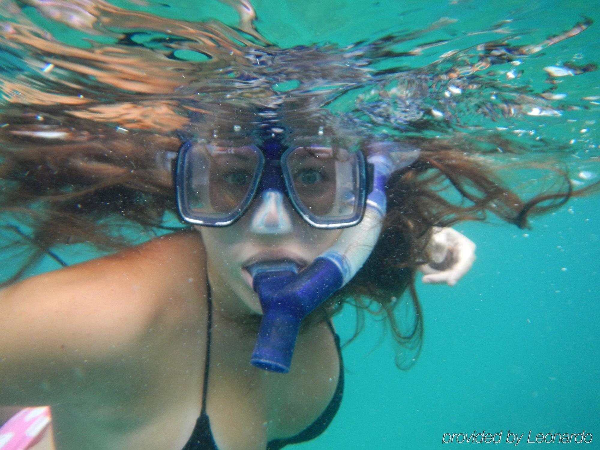 Tamarind Reef Resort Spa & Marina Christiansted Buitenkant foto