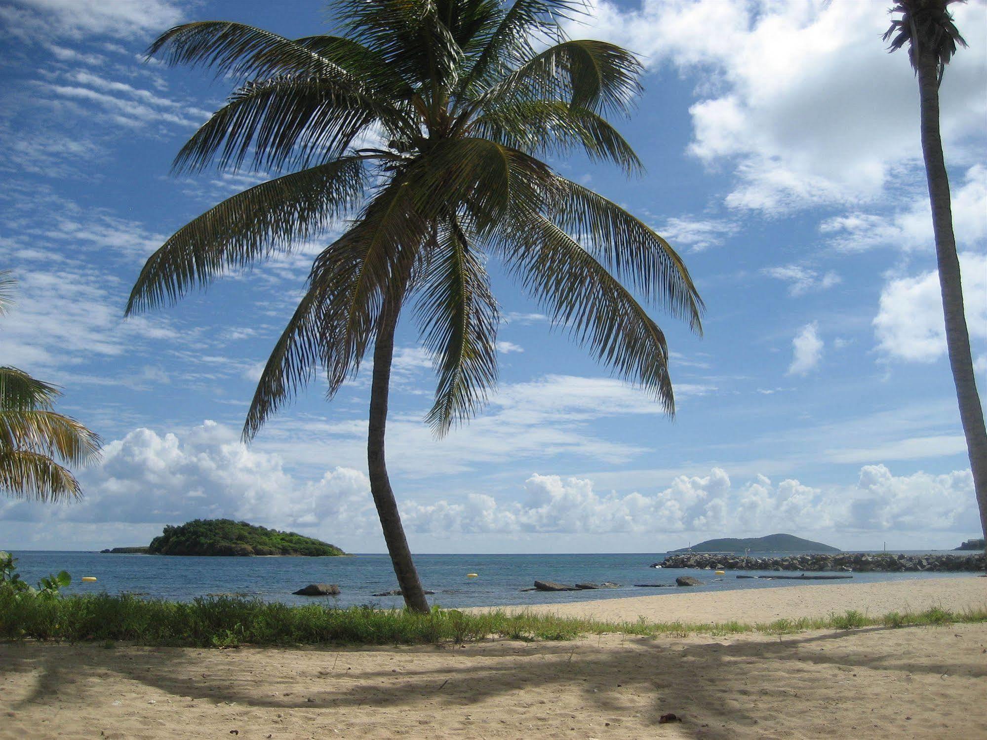 Tamarind Reef Resort Spa & Marina Christiansted Buitenkant foto