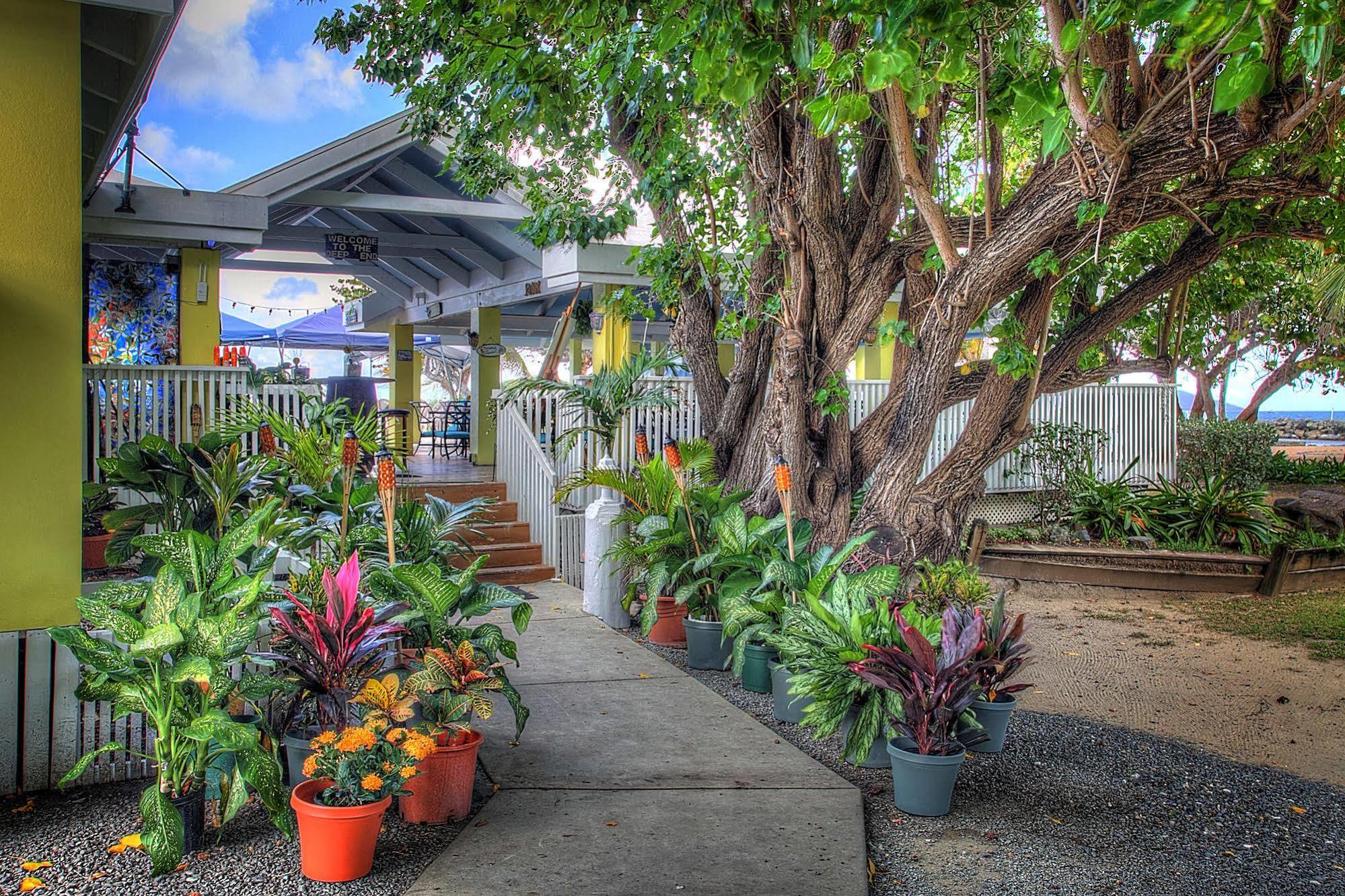 Tamarind Reef Resort Spa & Marina Christiansted Buitenkant foto